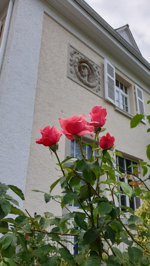Lilienmatt Apartments บาเดน-บาเดน ภายนอก รูปภาพ